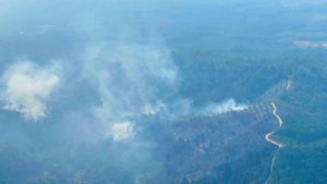 Kapolri Pantau Titik Api Via Udara, Cek Kesiapan Penanganan Karhutla di Riau.   